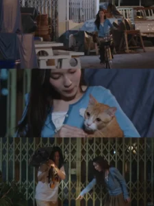 The Whale Store (2025) Review – Thai GL Slice-of-Life Romance & Healing Story